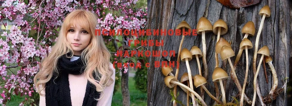 кокаин Новокубанск