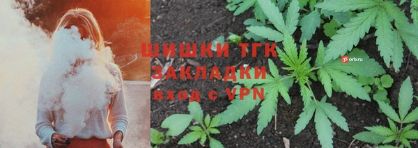 первитин Новодвинск
