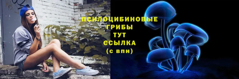 mega онион  Александровск  Псилоцибиновые грибы Magic Shrooms  купить  сайты 