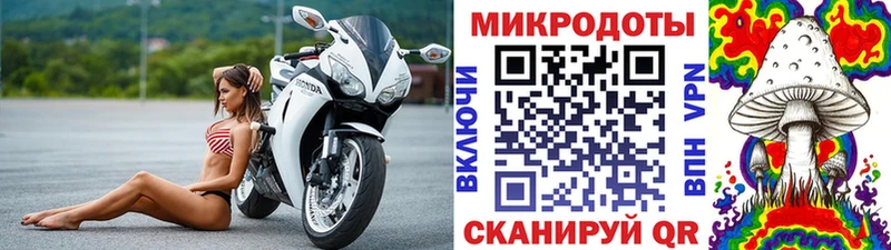 Псилоцибиновые грибы GOLDEN TEACHER Александровск