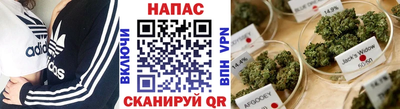 Каннабис сатива  Александровск 